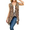 Wsk1071_leopard